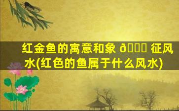 红金鱼的寓意和象 🐋 征风水(红色的鱼属于什么风水)